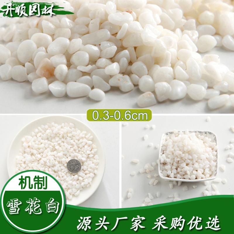 洗米石子盆栽卵石园林庭院枯山水造景的小石头天然白色鹅卵石