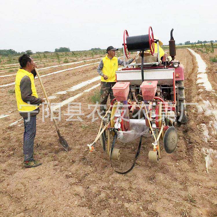喀什伽师县哈密瓜播种机起垄铺膜滴灌打一体2行西瓜籽铺膜精播