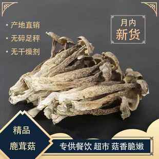 鹿茸菇特级干货500g 脆脆菇鹿茸菌新鲜云南菌子鹿茸姑香菇蘑菇 包邮