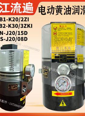 浙江流遍电动油脂润滑泵LRB2-K30/3ZK冲床380V奶油泵LRB1-K20/2ZI