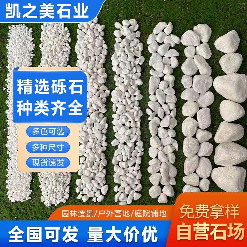 抛光磨圆白色石子盆栽铺面石头庭院景观装饰造景白砾石一吨价