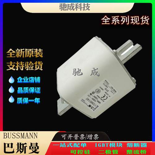 巴斯曼170M6140 170M6141 170M6142 现货直销价优 快速保险丝