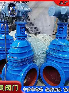 现货矿用隔爆型电动软密封闸阀球磨铸铁暗杆电动闸阀Z945X-10Q