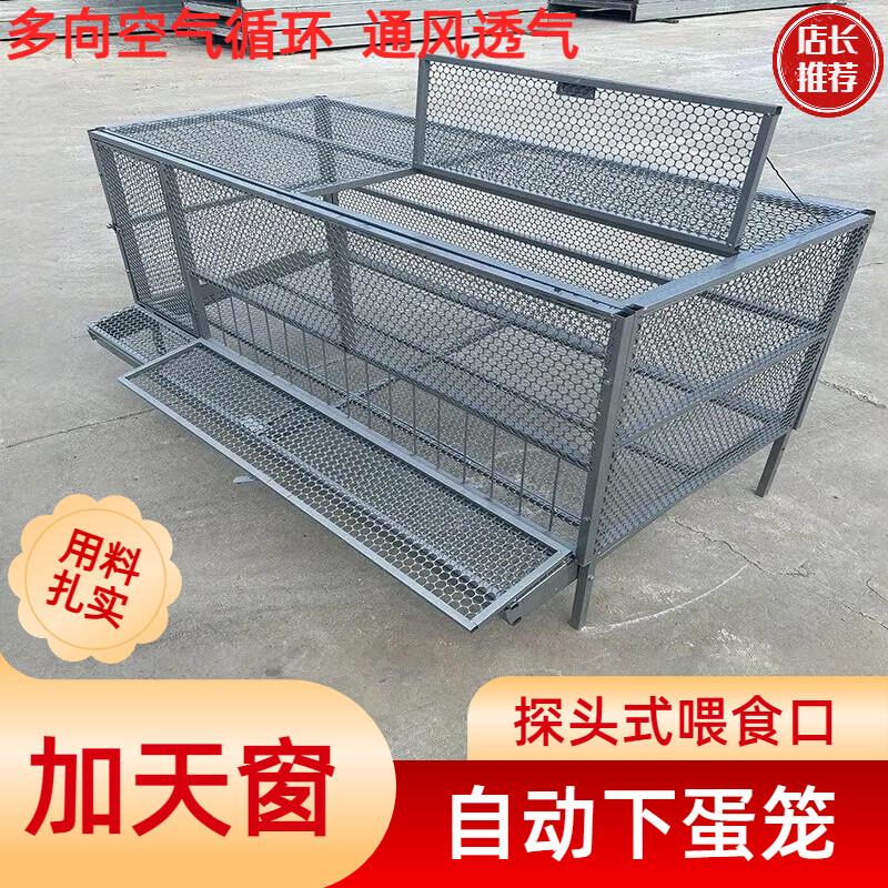 鸡笼子家用室外防雨养鸡笼特大号自动小鸡漏粪养殖笼新型铁丝网鼠图片