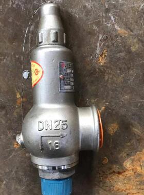 A22W-40C/P全启式铸钢/不锈钢/氧气安全阀DA22W-40P低温安全阀