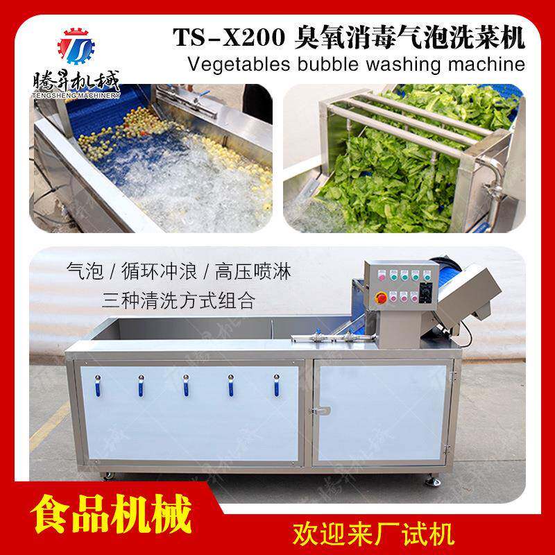 厂家供应粽叶清洗机果蔬气泡清洗机桔子橙子苹果洗果机