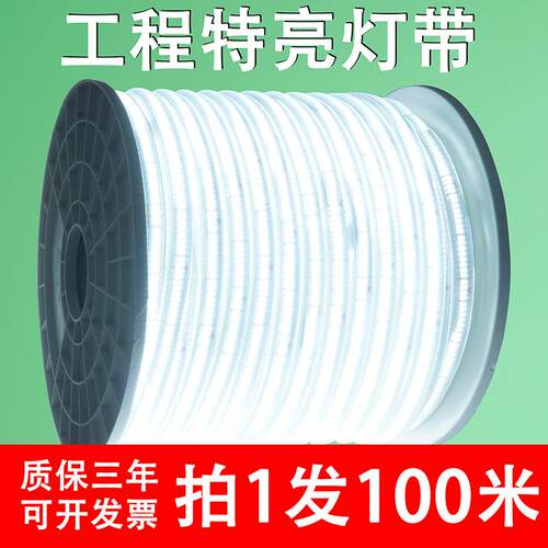 led灯带220V户外工程照明户外防水养殖塔吊工地地下室24V36V100米