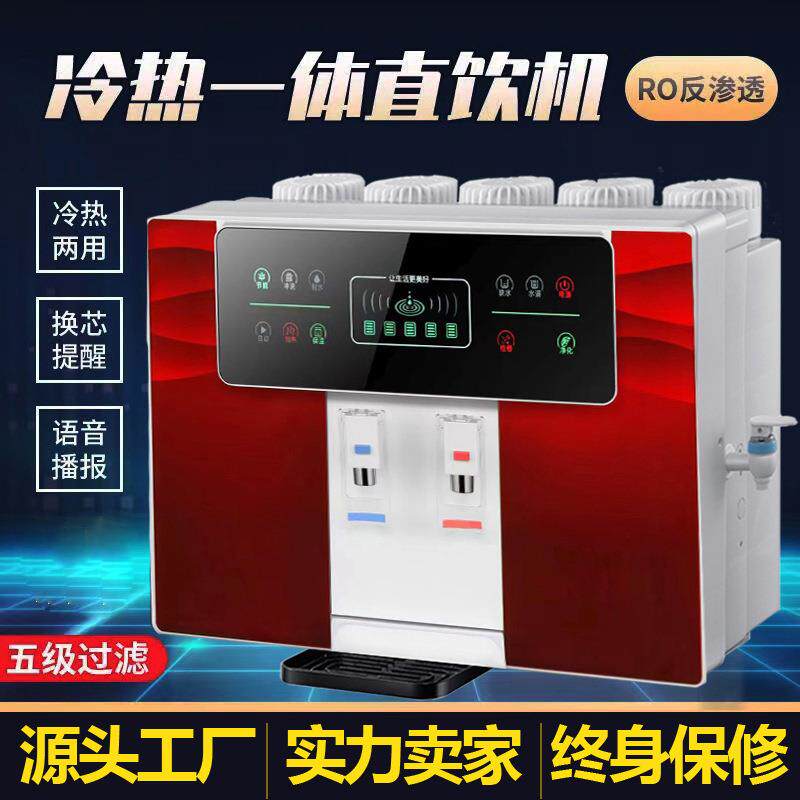 冰热一体净水器家用加热直饮纯水机厨房壁挂五级ro反渗透净水机