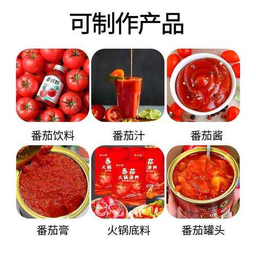 洋柿子酱制作设备番茄果膏生产线加工番茄汁的机器番茄底料炒制锅