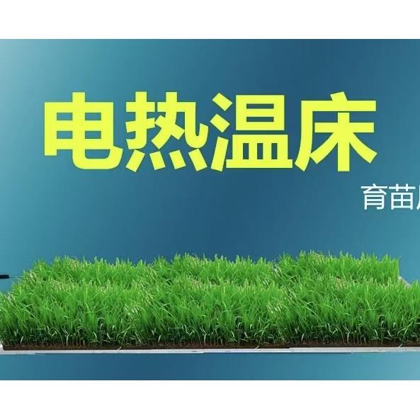 育苗用电热温床蔬菜芽苗菜花圃草皮育苗盘穴盘基质土根部加热保温