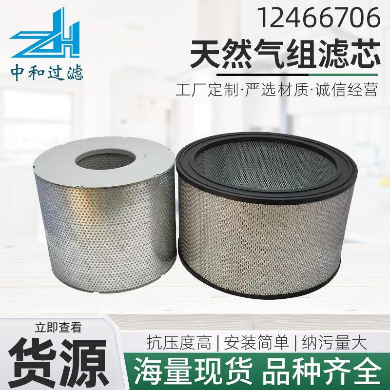 1246670612466707沼气天然气发电机组滤芯