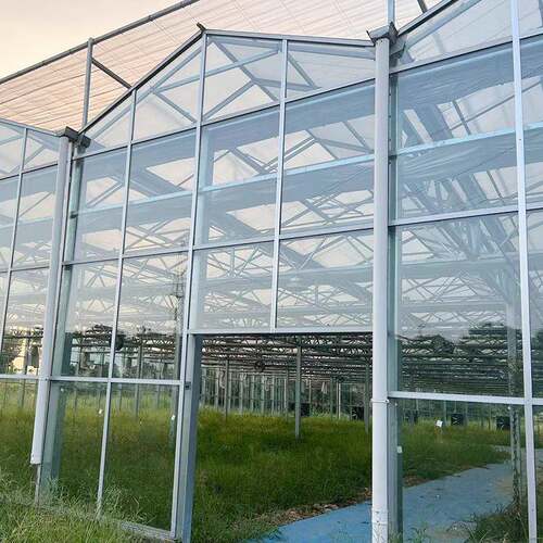 玻璃温室大棚膜智能花卉蔬菜镀锌阳光连栋田园阳光房室内花房