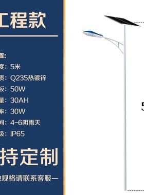 路杆家灯TYN-002新农村建设4米厂5米30W路灯路工程款灯