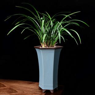 特大号兰花专用花盆陶瓷哥窑六边中国风吊兰盆景盆高款覆古紫砂盆