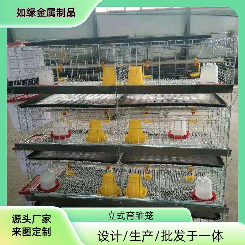 立式四层小鸡笼冷镀锌小层叠养殖鸡笼养殖场专用育雏笼加粗小鸡笼