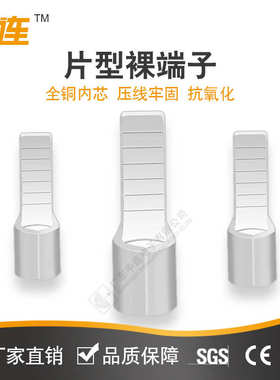 -/端头型 /接线形中-2片裸连 端子 冷22-片接线压紫铜141018