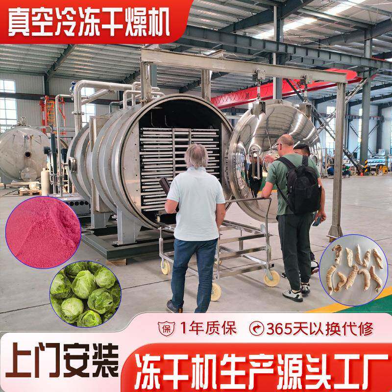 0.-㎡冻干粉面膜真空冷冻干燥机商用中型10平方米化妆品冻干机