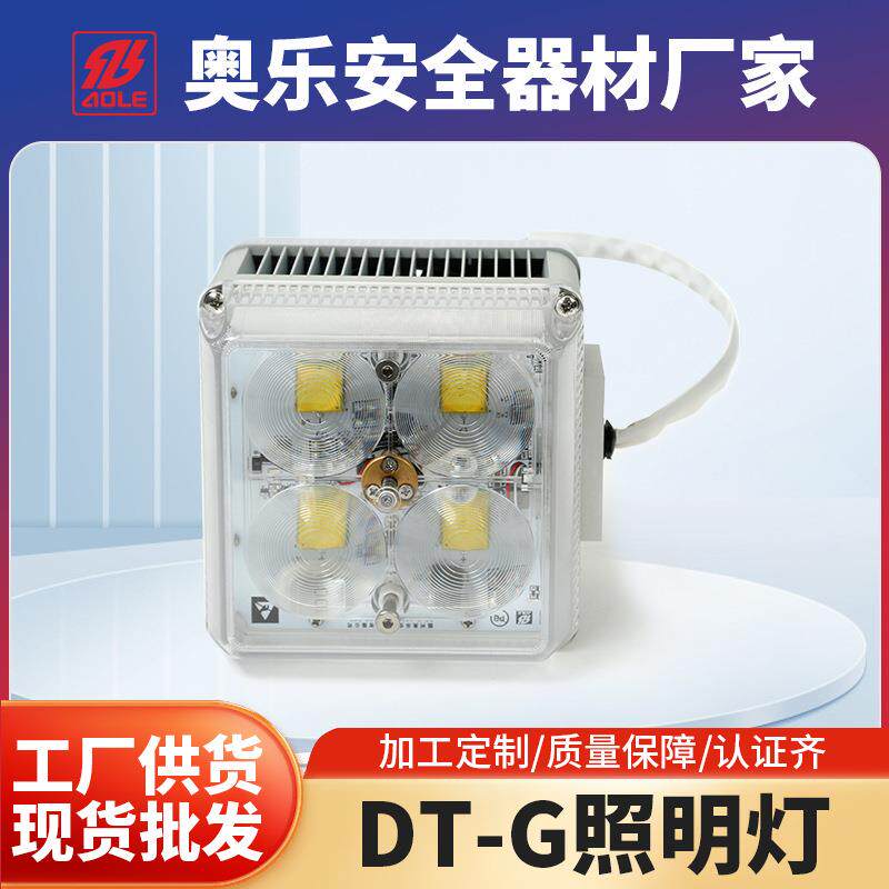 DT-G变焦照明灯户外道路光源庭院灯景观灯led大功率照明灯灯头