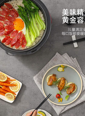龙的 LD-FF32A电饭煲 3L/4L大容量电饭锅家用小电饭锅煮饭锅FF42A