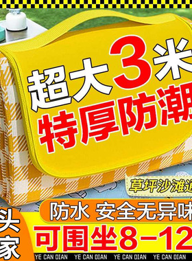 野餐垫加厚带铝模防潮户外野餐布垫防水野炊公园露营便携野餐垫