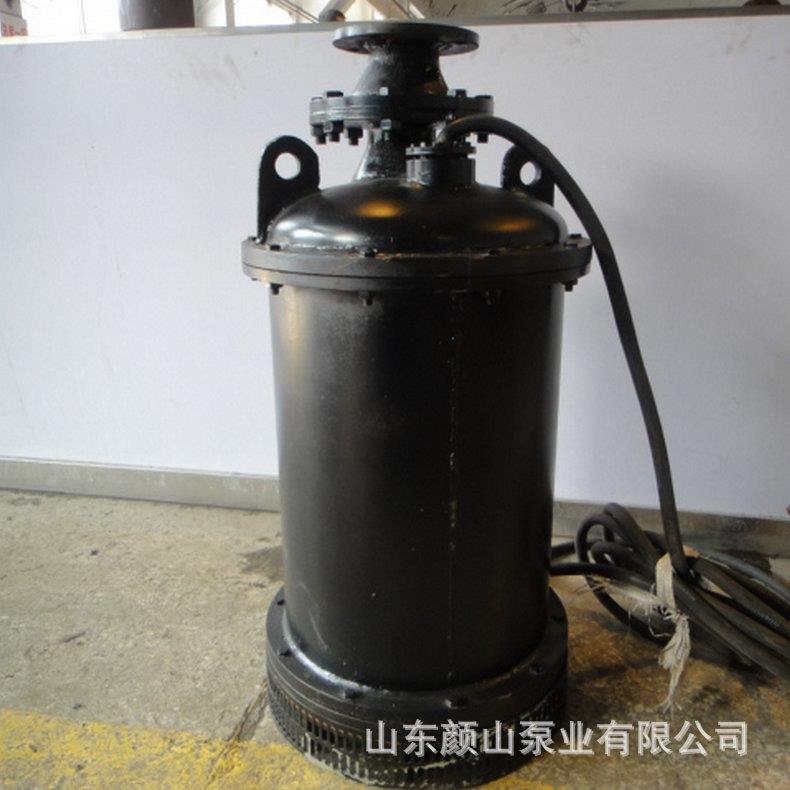 井用潜水电泵 潜水电泵 小型 潜水电泵厂家