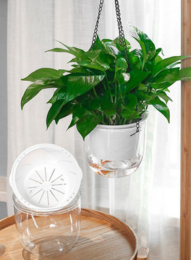 美轩吊盆花盆悬挂式加厚塑料水培土培自吸水懒人盆桌面式厂家
