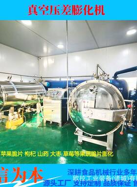 药材真空膨化罐宠物食品真空膨化机全自动真空苹果片干燥设备