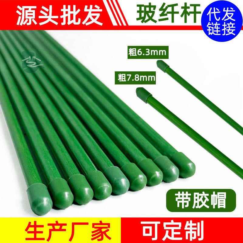 金钱树蝴蝶兰支架蔬菜瓜果爬藤植物立柱撑杆园艺盆栽花卉固定架子