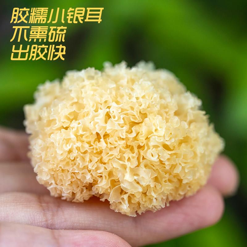 懿呈 胶糯小银耳不熏硫正宗古田小朵白木耳干货搭配莲子枸杞100g