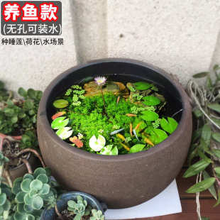 特大口径黑陶紫砂粗陶花盆户外无釉素烧陶瓷陶罐阳台鱼缸养鱼种树