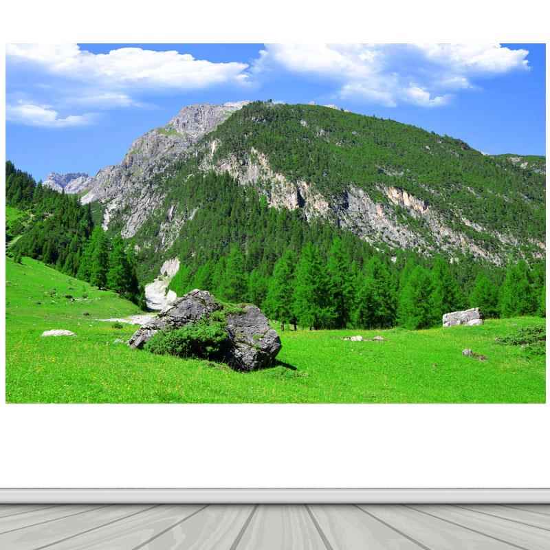 大山靠山草地石头自然风景海报自黏贴纸画 画客厅背景墙树林有山