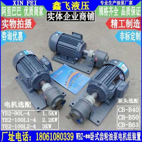 WBZ-40 WBZ-50 WBZ-63卧式齿轮油泵电机组YE2-100L1-4 2.2KW