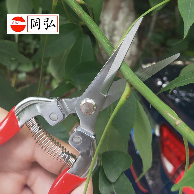 冈弘318摘果嫩芽剪直头修枝剪刀采果稀果树枝剪疏花剪果树盆景剪