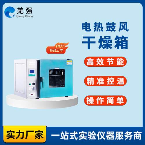 电热恒温鼓风干燥箱小型高温工业用烤箱DHG型热风循环烘干机