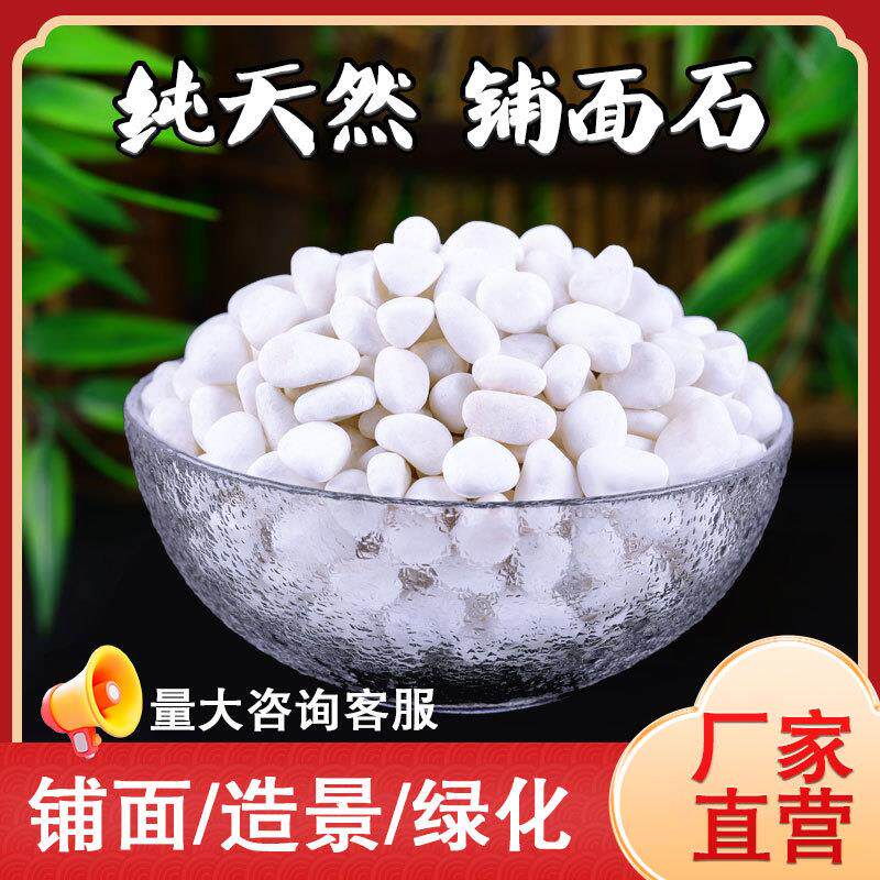 40斤装天然白石子园艺盆栽石头粗沙