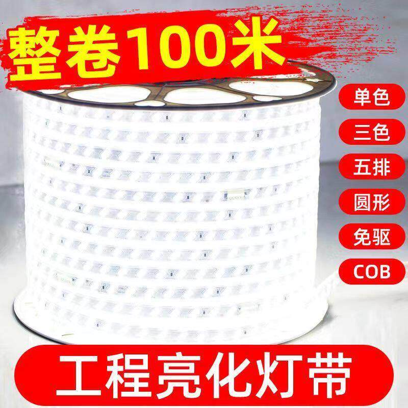 led灯带100米220V户外工程照明户外防水养殖塔吊工地地下室24V36V