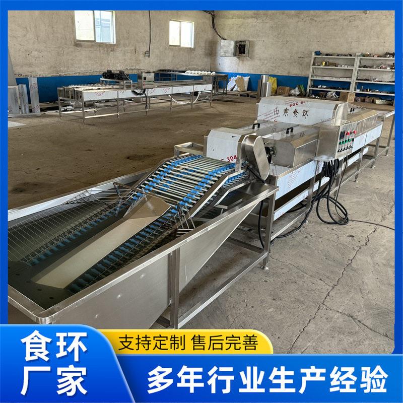 两排洗蛋机商用保洁蛋清洗线自动清洗风干光检检测鸡蛋洗蛋机