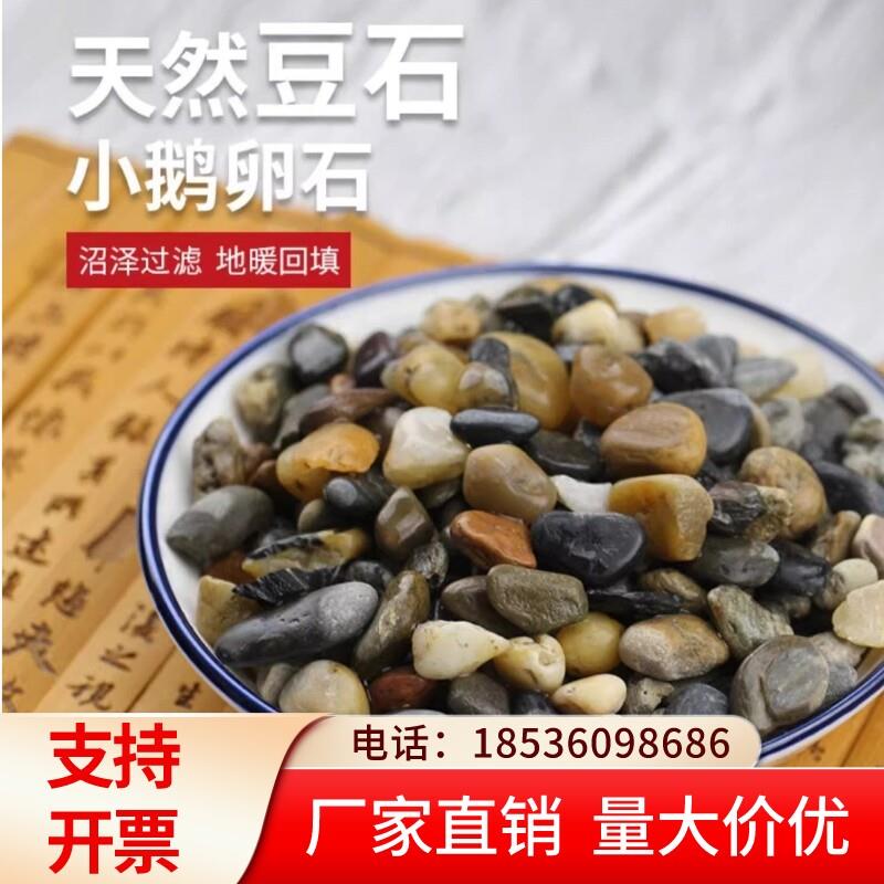 湖南豆石小石子过滤豆石天然河沙溪流沙鹅卵石原生水族鱼缸水草缸