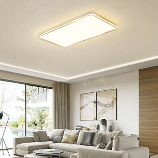 led现代创意吸顶灯卧室金色房间大厅轻大气客厅奢灯灯具家用简约