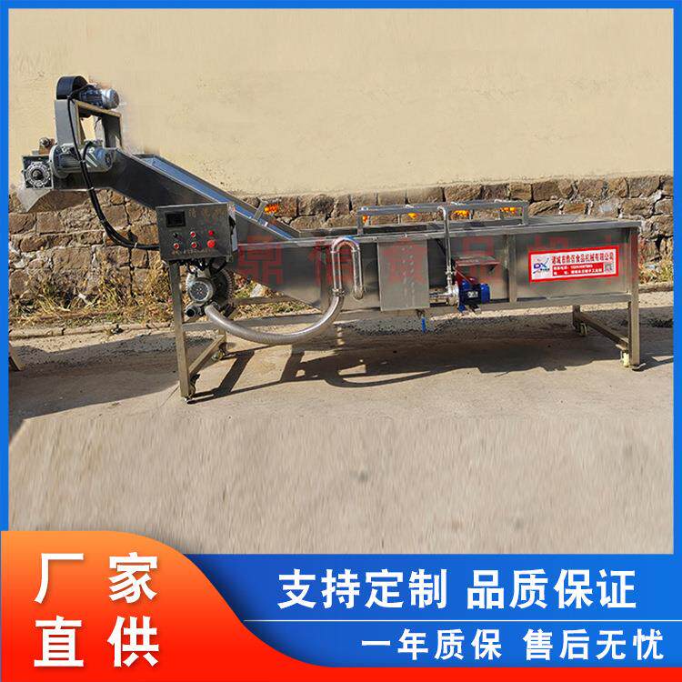 厂家供应扁豆清洗机葡萄干气泡清洗机榨菜清洗流水线