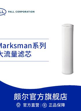 Pall/颇尔 大流量过滤水滤芯液体聚丙烯PP水过滤折叠滤芯品牌直营