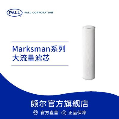 Pall/颇尔 大流量过滤水滤芯液体聚丙烯PP水过滤折叠滤芯品牌直营