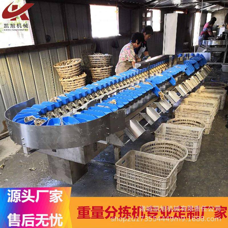 威海牡蛎自动重量分拣机生蚝海蛎子分选机源头厂家售后无忧
