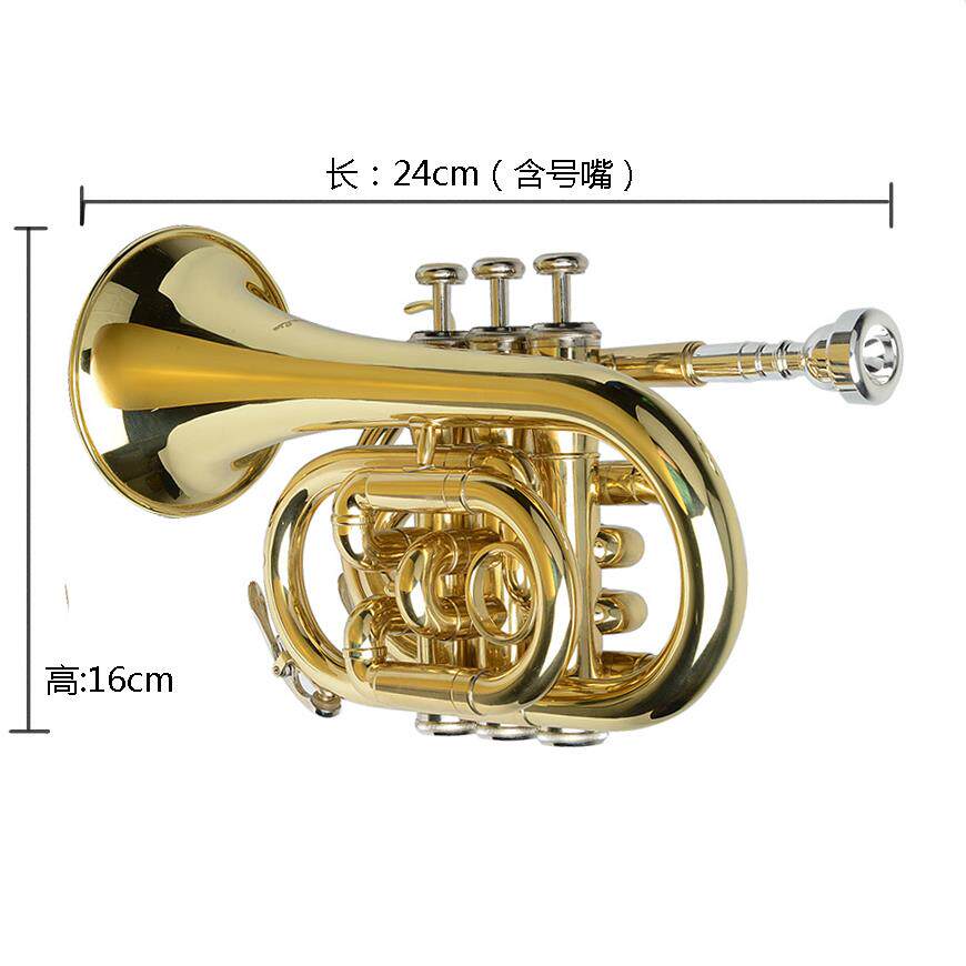 正品纯铜漆金手号乐器 袖珍小号 口袋号 初号降B掌调 三音短学 专