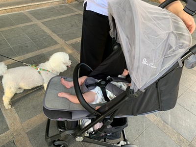 silvercross婴儿推车怎么样?用后一年口碑反馈！