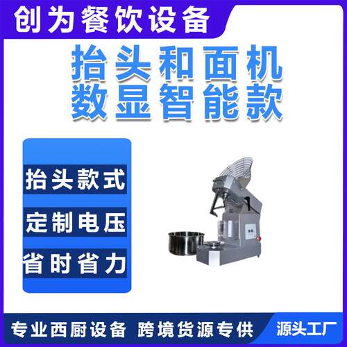 跨境小型和面机全自动揉面和面10L可抬头商用双速双动强劲力