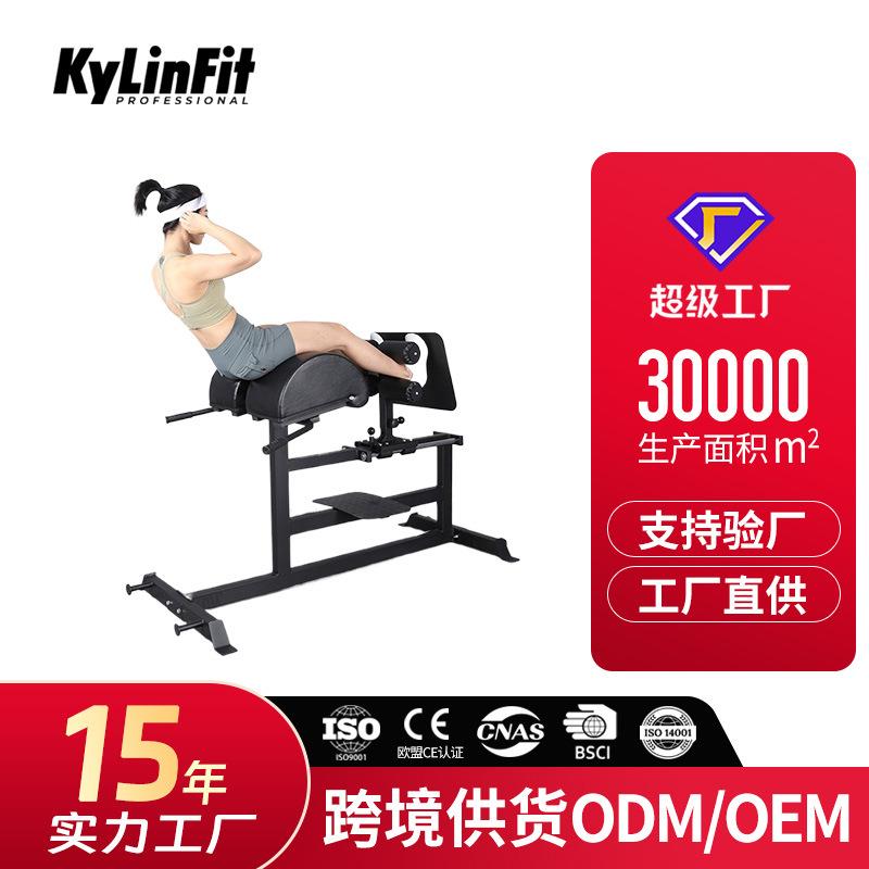 工厂直发重型腹背训练器健身房商用罗马椅山羊挺身健身器械图片