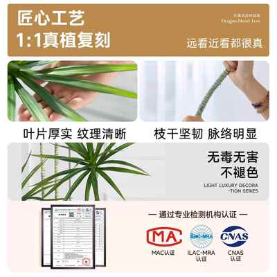 仿真绿植装饰仿内真WGI室大摆盆栽龙血树客厅仿落地件高端轻奢生
