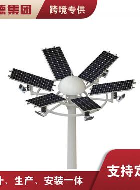 2025新款太阳能路灯6米8米100W新农村一体化太阳能高杆灯厂家