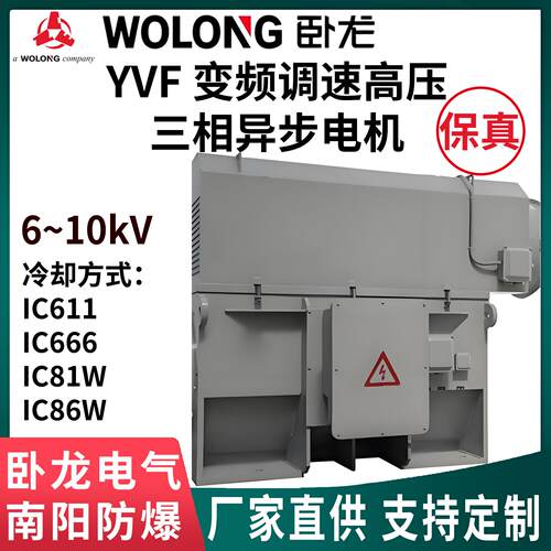 卧龙南阳防爆集团原厂生产YVF高压电机6V/10电压变频调速5-50Hz
